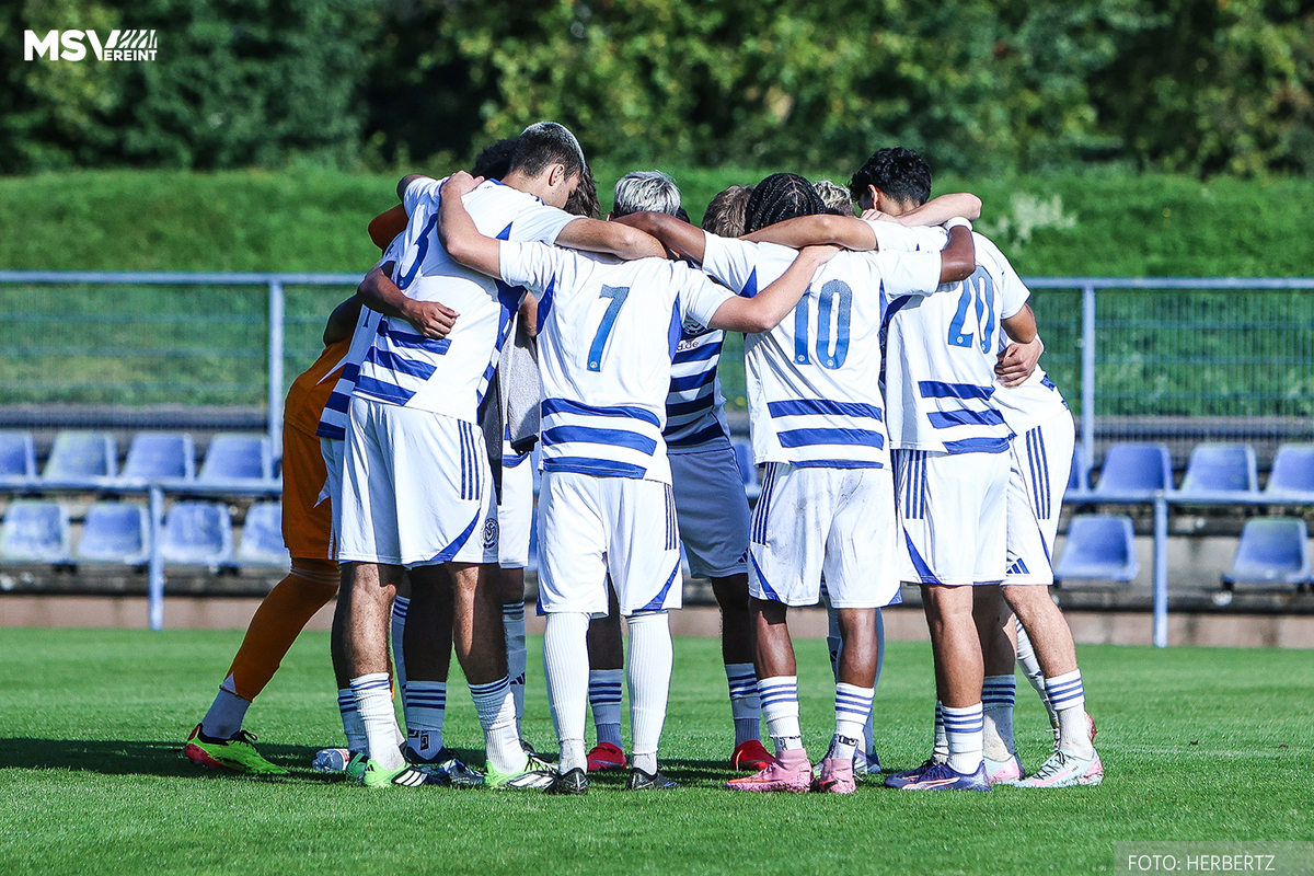 Zebra Talents | Main Round Start for U19 & U17