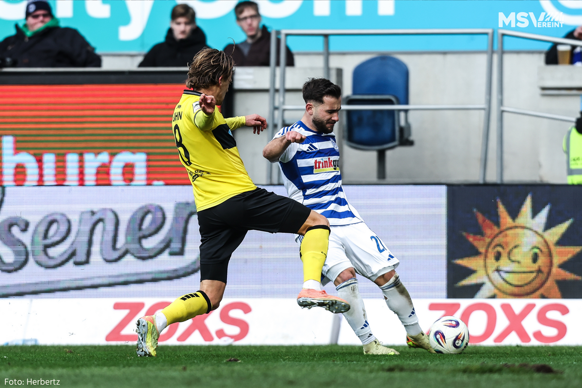 #AACMSV | 6,000 Zebras at Tivoli: 